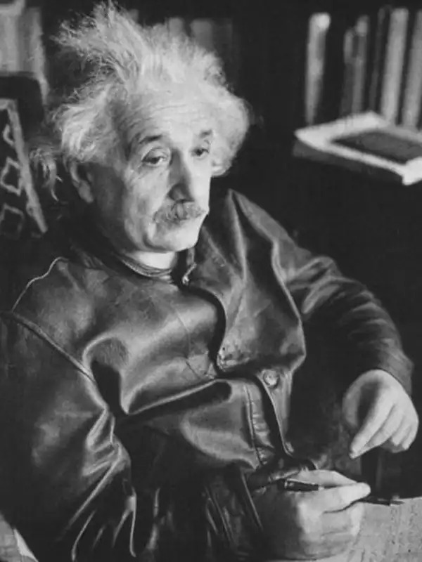 Albert Einstein Brown Leather Jacket | Albert Einstein Jacket - Sale